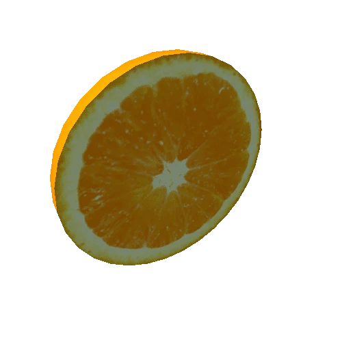 orange slice1